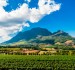 ASPIRE Pick of the Week: 5 Amazing Wine Destinations in Africa