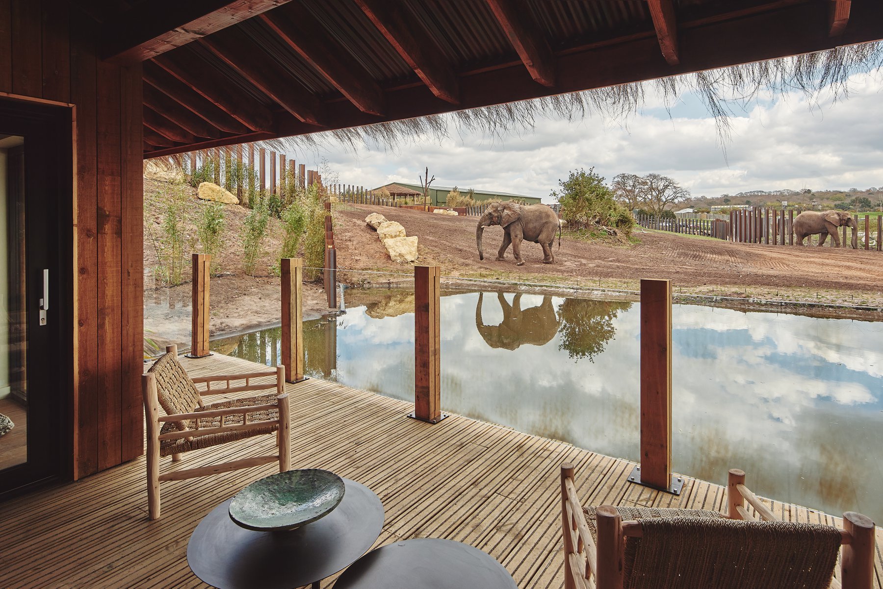 Guests at West Midland Park have an uninterrupted view to the park's animals