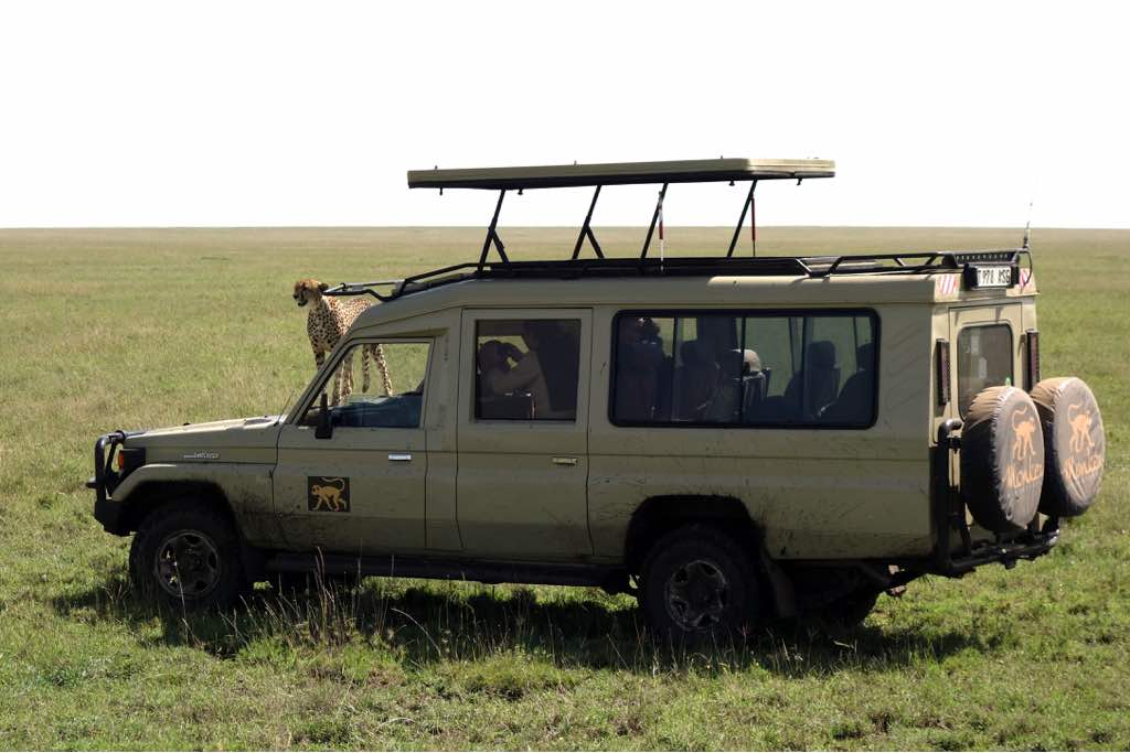 A safari land cruiser