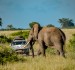 Kalmar Beyond Adventure wants You to Experience South Africa In a Porsche